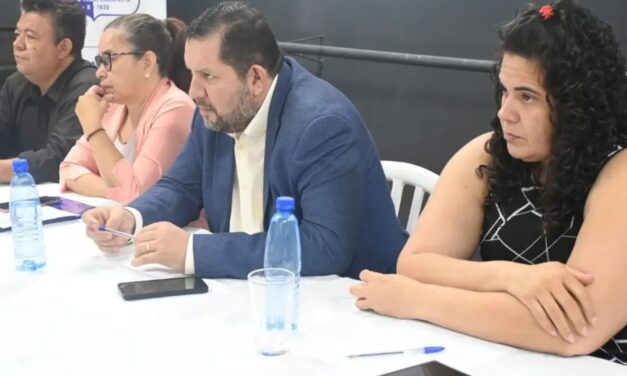 Mesa de trabajo Proyecto IMPACTO II